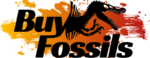 Buyfossils