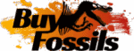 Buy fossils